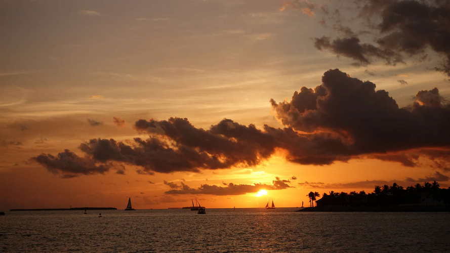 MIA_2023-08-12 19-57-10_RX_06037